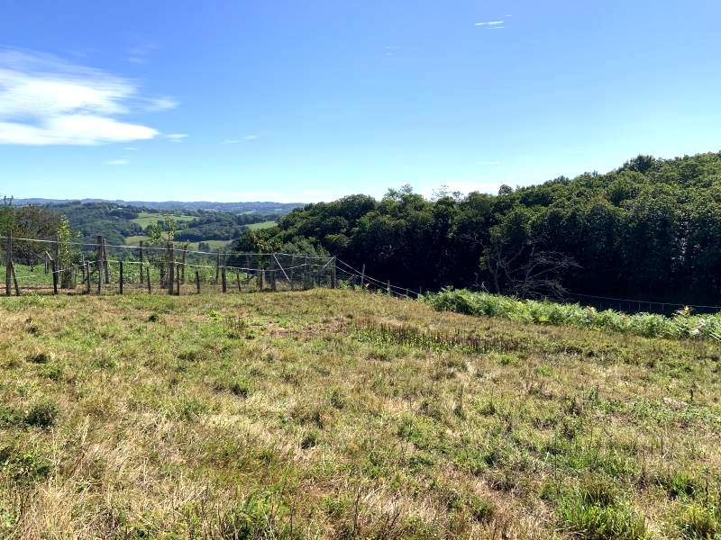 Photo bien immobilier
