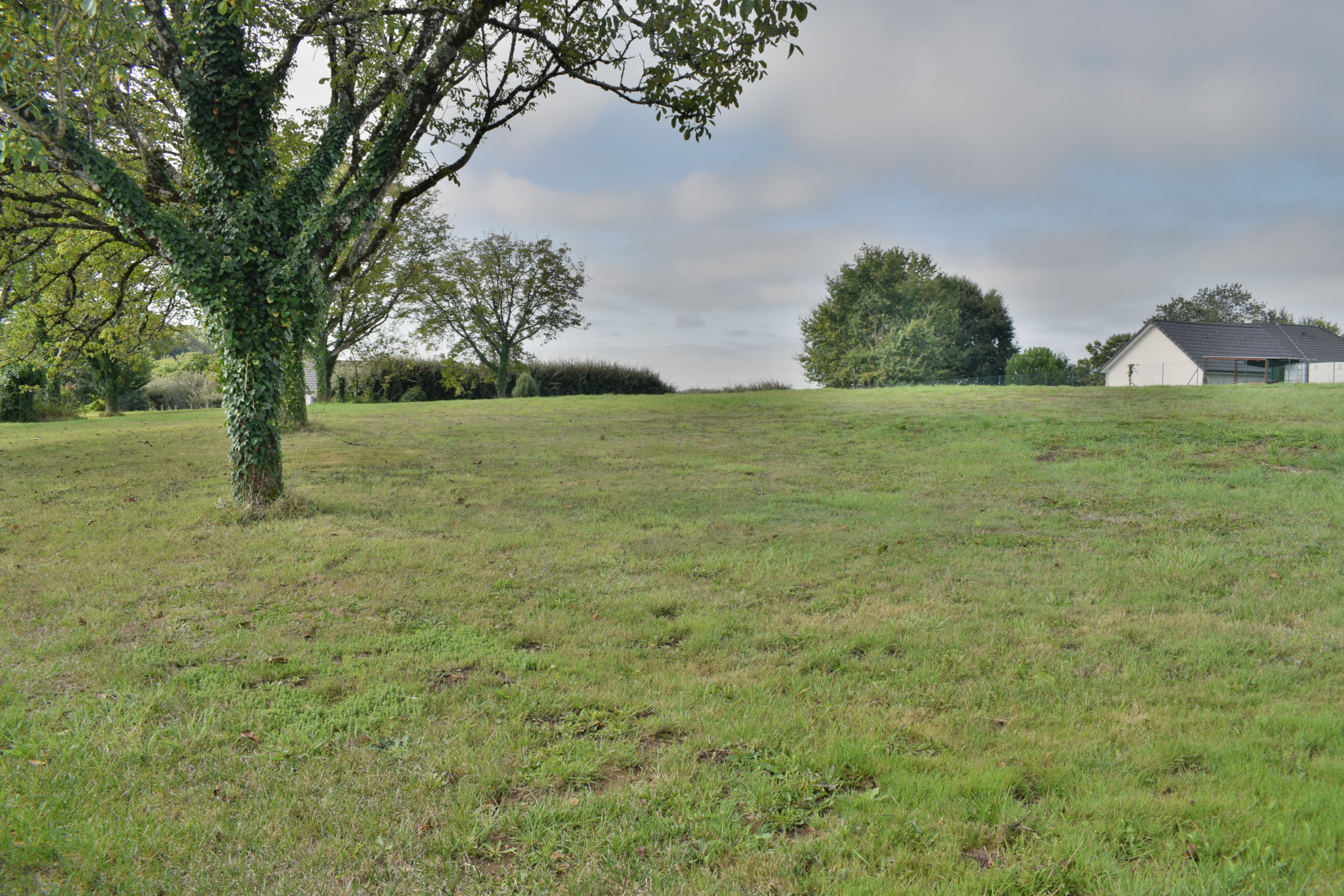 Photo bien immobilier