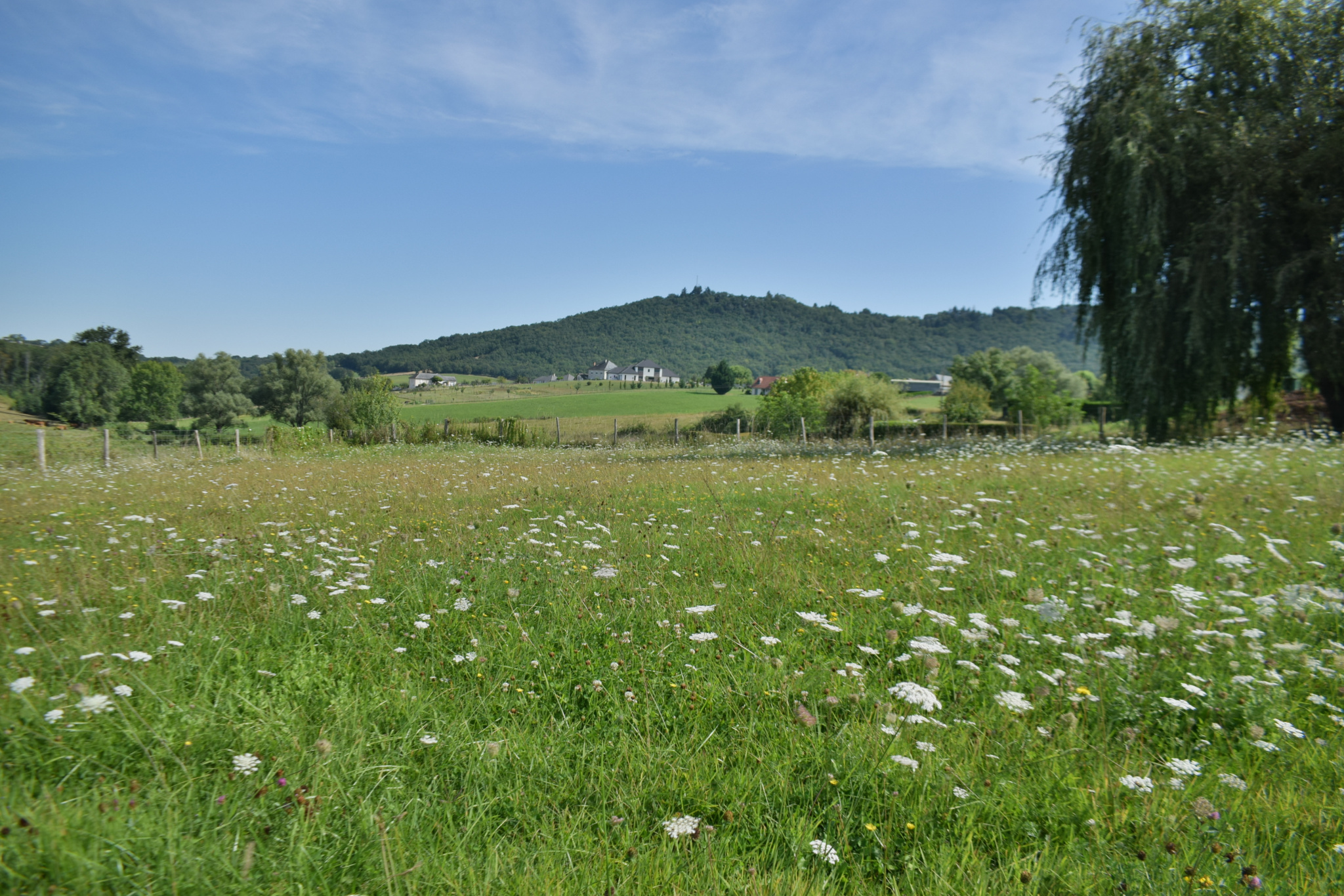 Photo bien immobilier